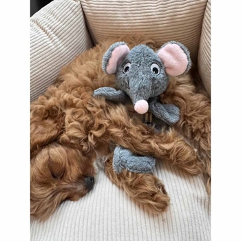 Nordic Paws Knitre Bamse Till Hunden Musen Mick